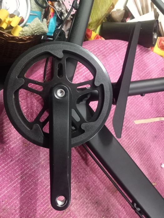 Bicicleta  elops.   ,