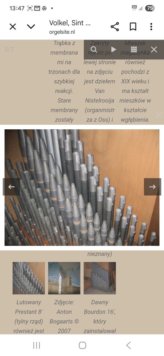 Organy piszczałkowe 18 głosowe, elektropneumatyk.