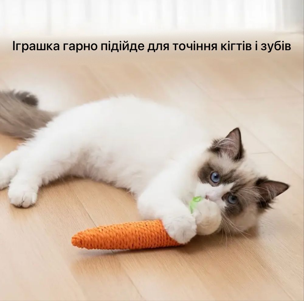Іграшка для тварин, котів