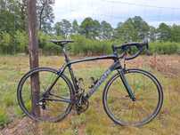 Bianchi INFINITO CV - 170 -180 cm