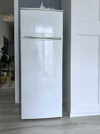 Холодильник двокамерний SNAIGE FR-240.1101AA в робочому стані