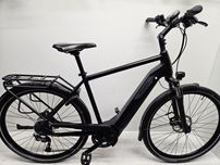 PEGASUS EVO rower elektryczny ze wspomaganiem BOSCH Performance Line