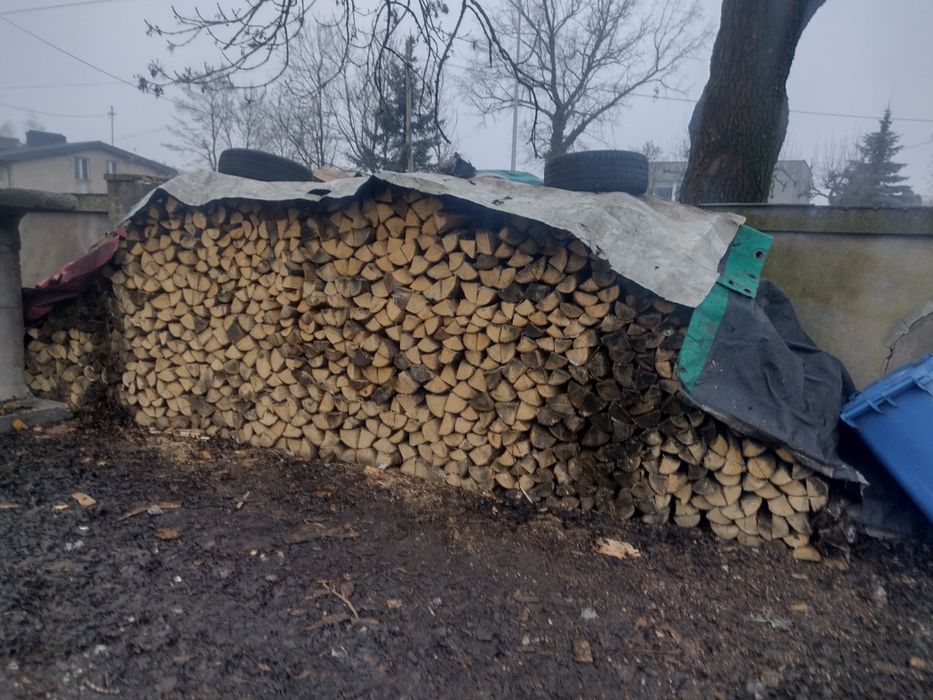 Drewno Sezonowane Suche Buk