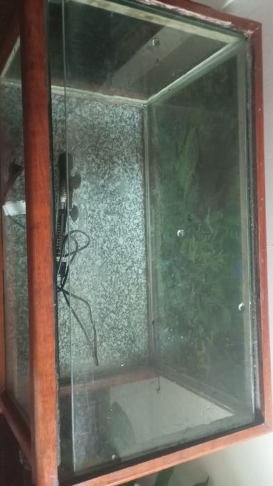 Vendo aquário 64x34x34, pedra mármore ,tampa de vidro,term. 100 w