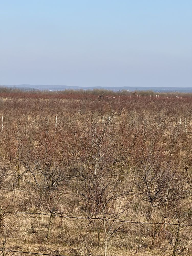 Продаж масиву ділянок с/г призначення , Львівщина