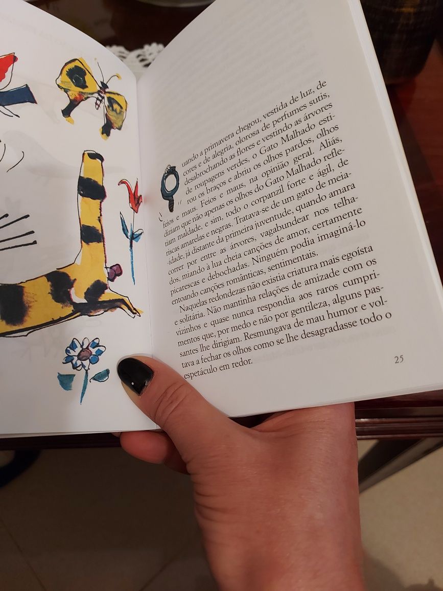 Livro "O Gato Malhado e a Andorinha Sinhá".