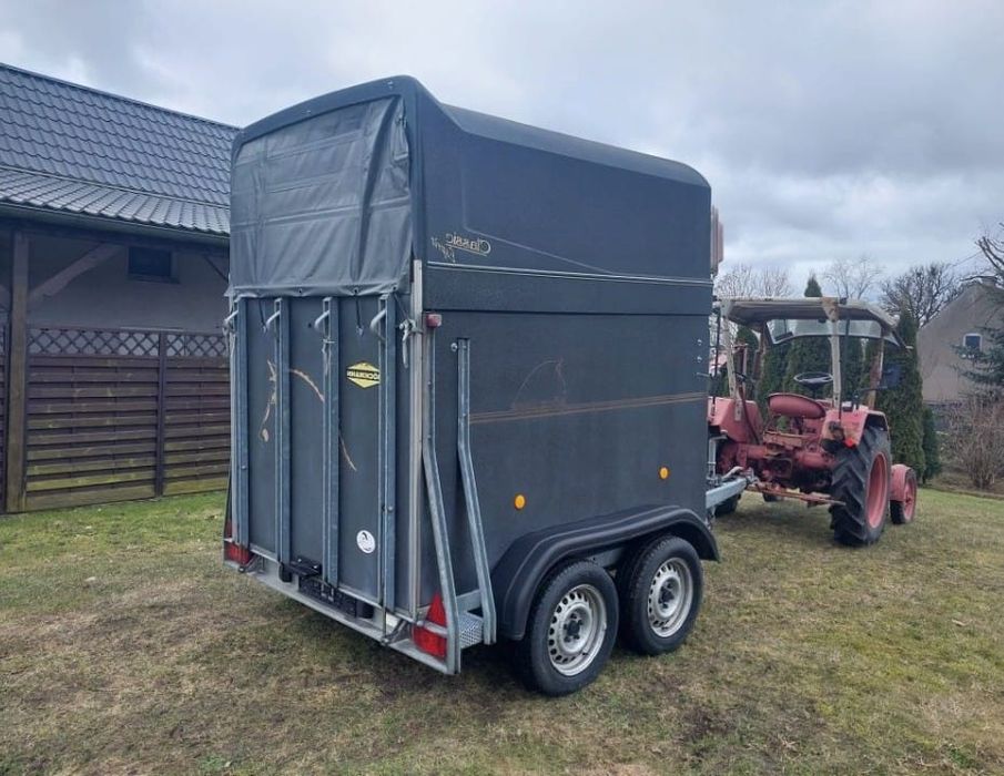 Przyczepa do przewozu koni Böckmann