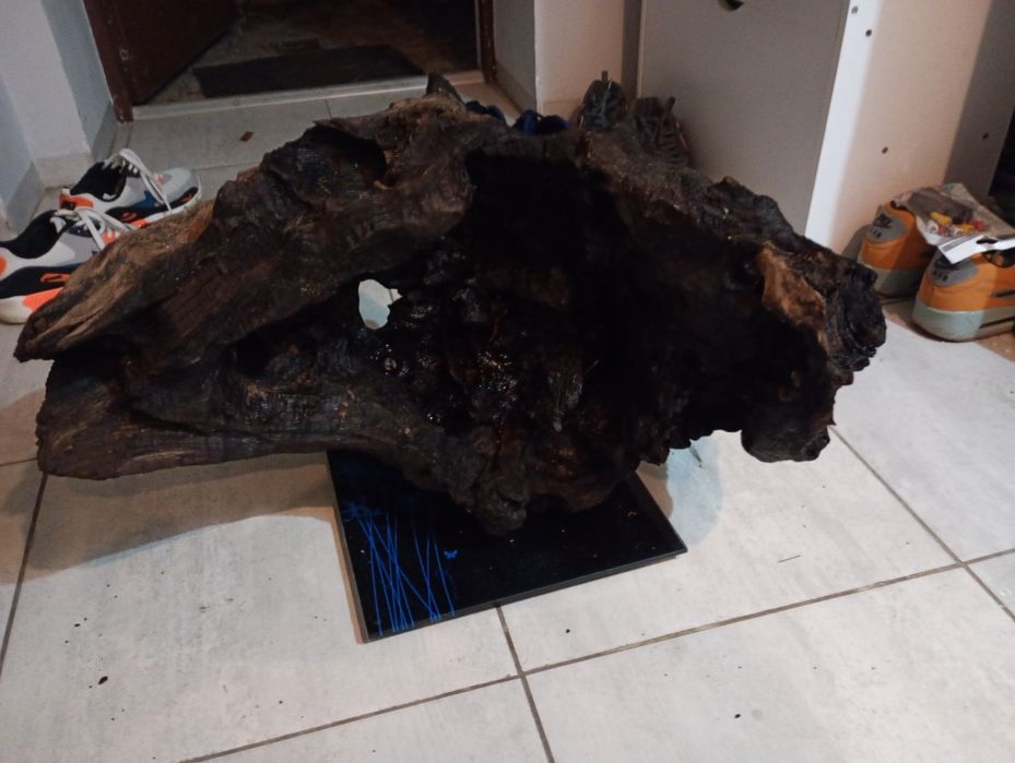 Korzeń do akwarium XXL 20kg !!!