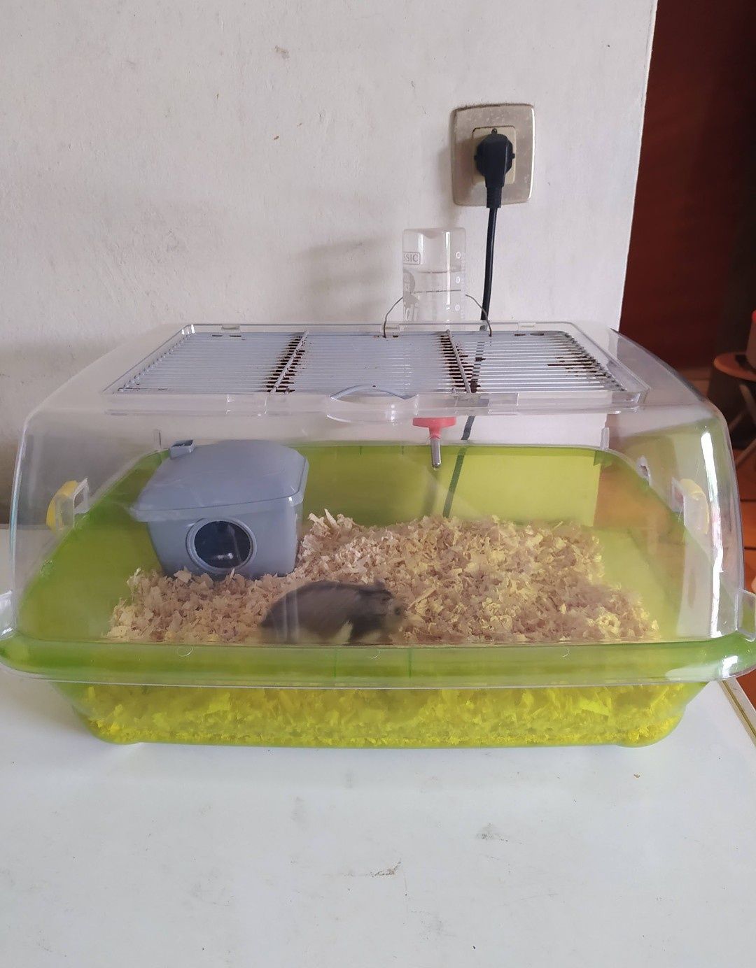 Casotas de hamsters