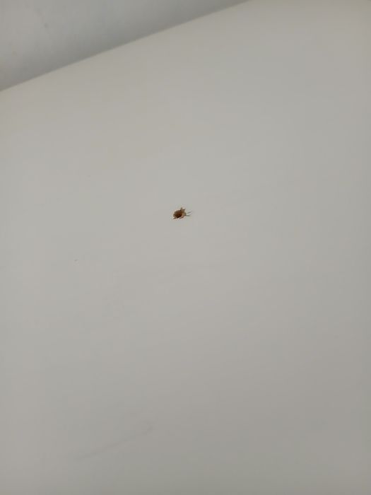 Kallax branca ikea