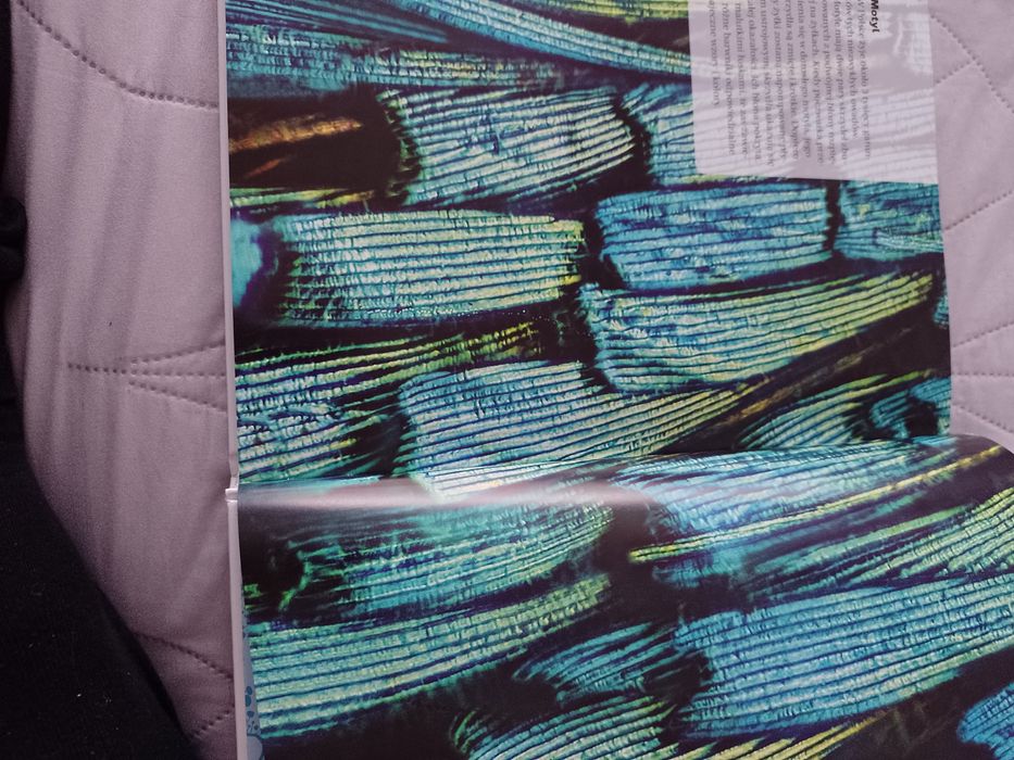 Encyklopedia dla dzieci świat w powiększeniu