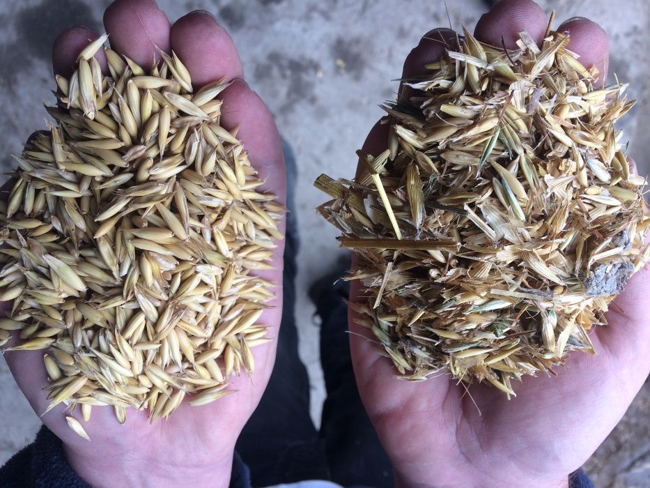 Czyszczalnia do zboża 5t Wialnia Separator do Zboża Proszkowo Malowany