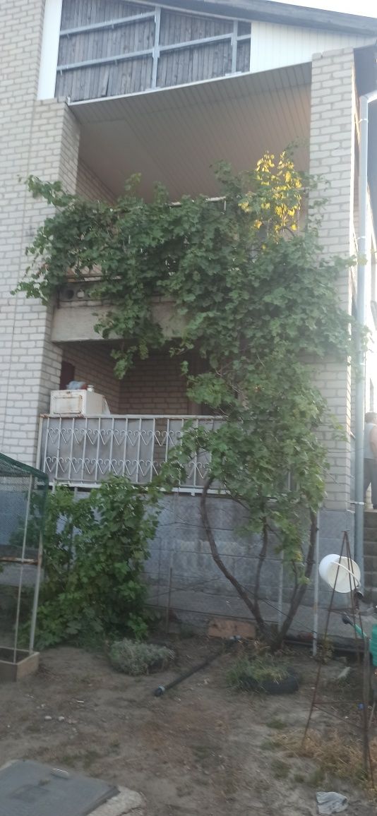 Дом дача Великий луг