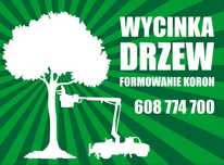 Wycinka i korekta drzew, Nowy Dwór Gd, Mierzeja, Elbląg, Malbork itp