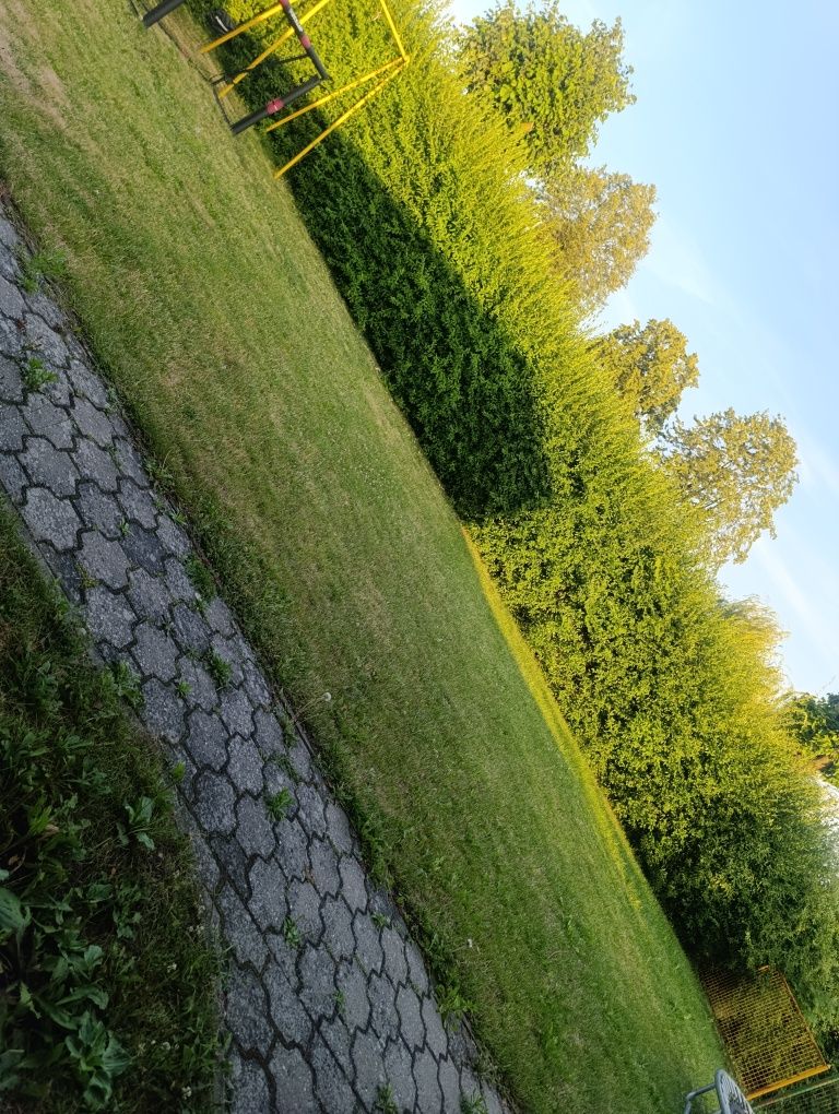 Działka Rekreacyjna Śrem -522 m-Jeziorna