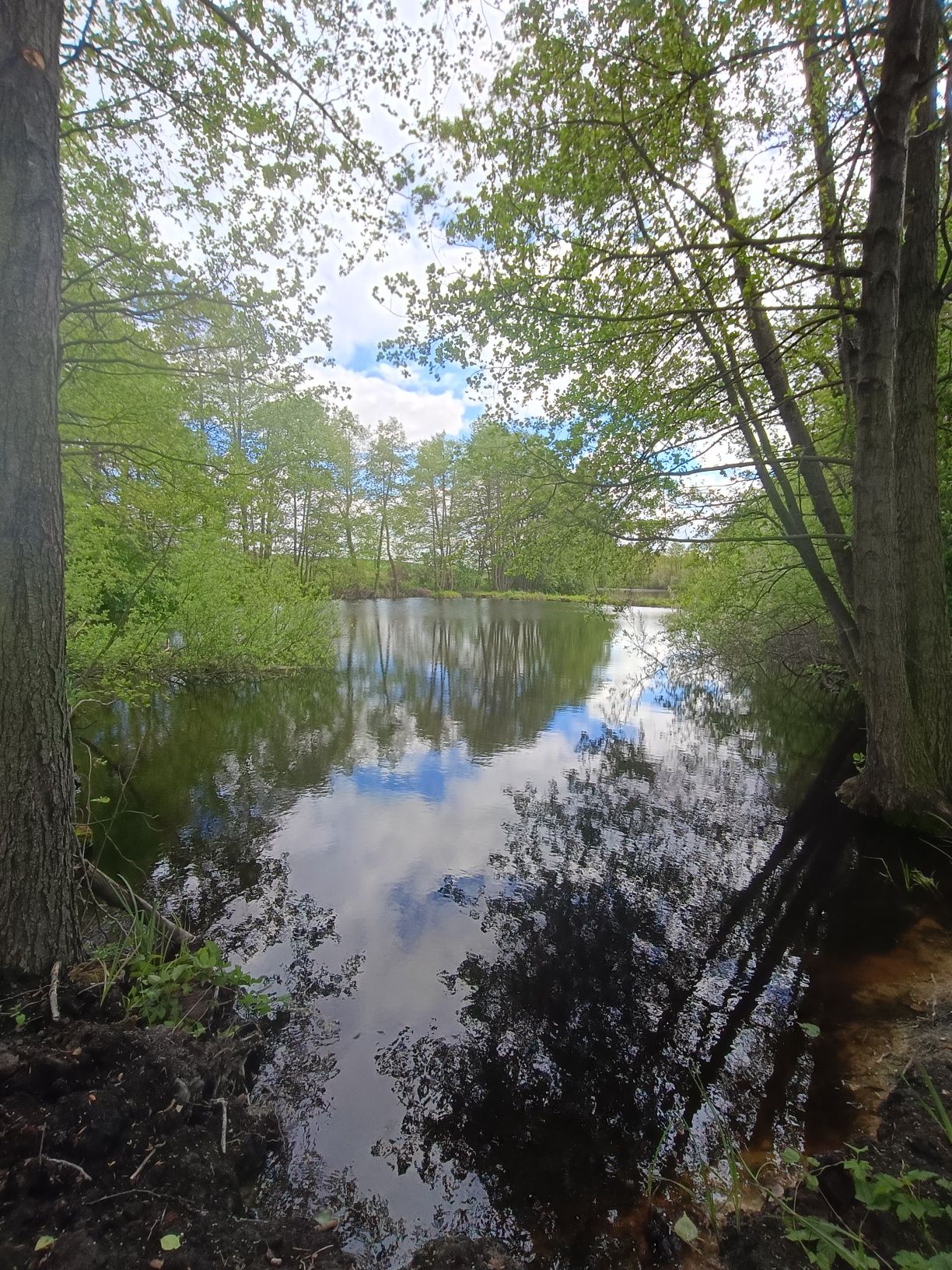 Działki nad Jeziorem Głuszyńskim