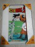 Quadro Dragon Ball