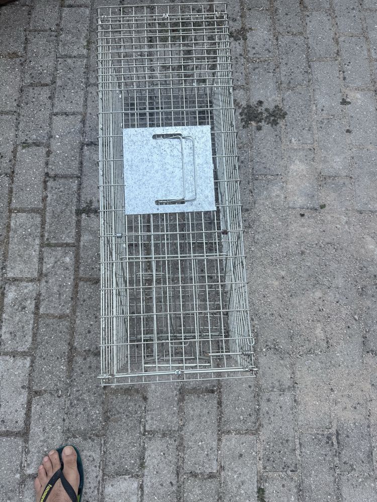 Armadilha para gatos