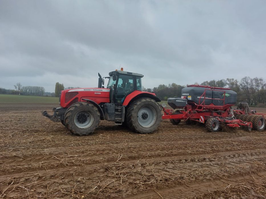 Siew zbóż  pasowy Strip-Till horsch FOCUS