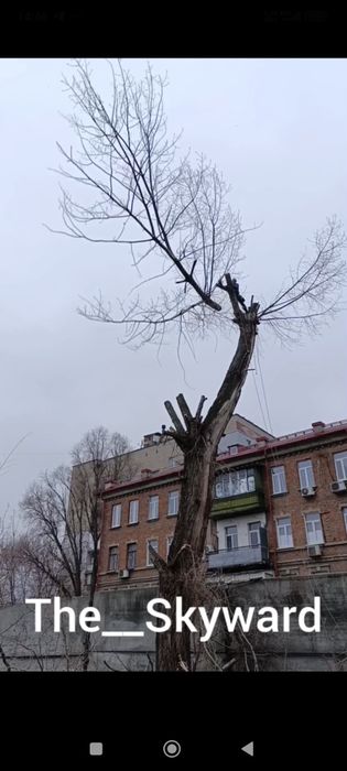 Спилить дерево без вышки. Арборист, г.Днепр.