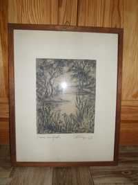 Obraz - stary sygnowany rysunek w ramie drewnianej za szkłem