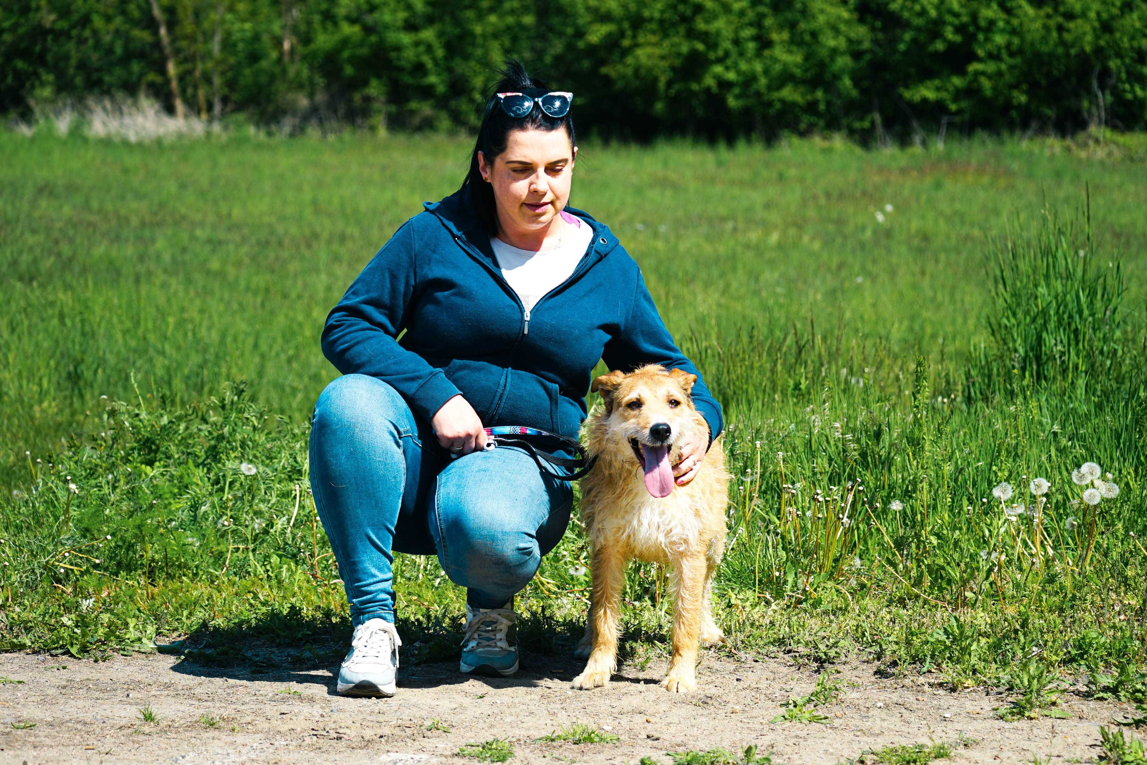 Lorek - genialny, wesoły pies szuka domu