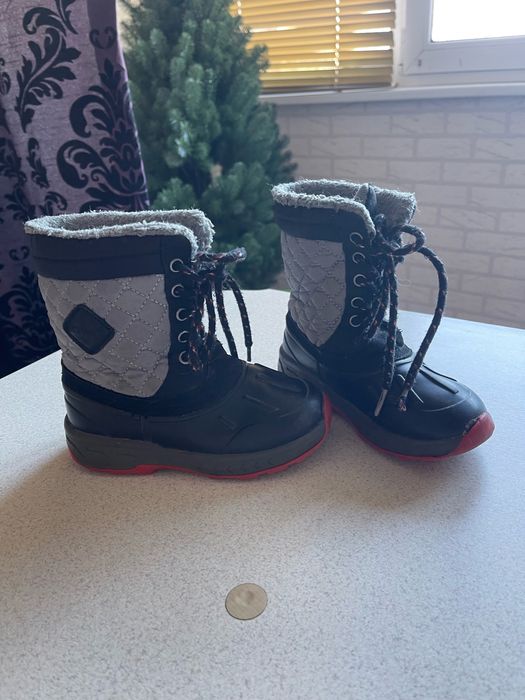 Дитячі ботинки демі carters