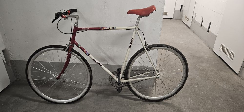 Rower giant szosa kolarka singlespeed