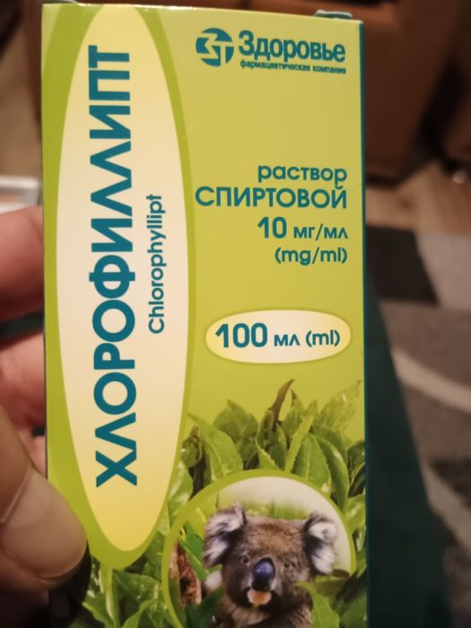 Chlorofilipt 100ml naturalny wyciąg z eukaliptusa