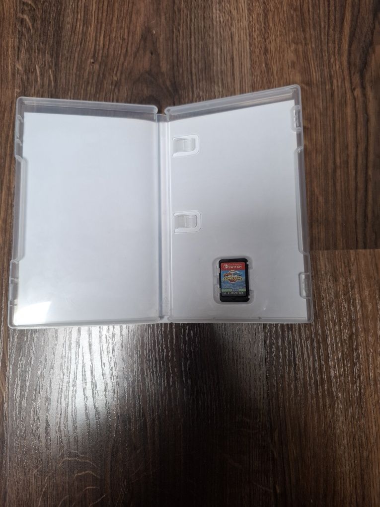 Nintendo Switch.