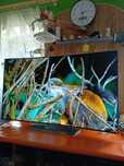 OLED LG 55 super stan curved