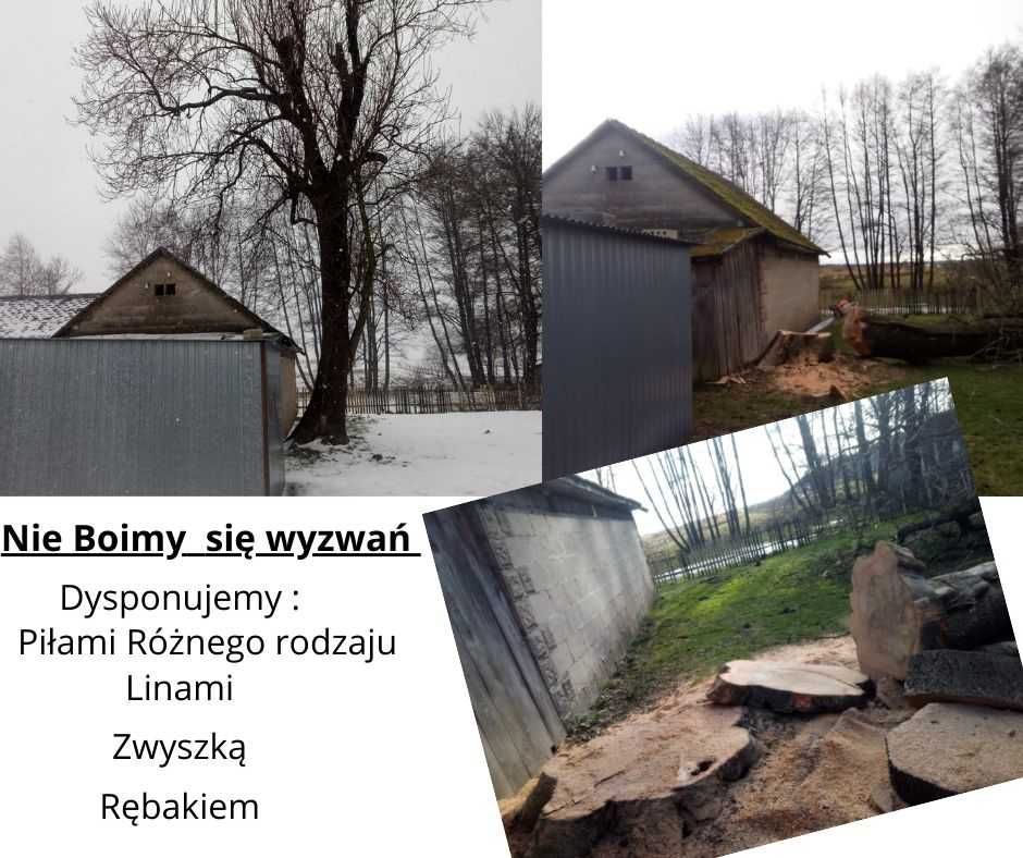 Wycinka drzew, przycinanie.usłga rębaka gałęzi. Koszenie trawy