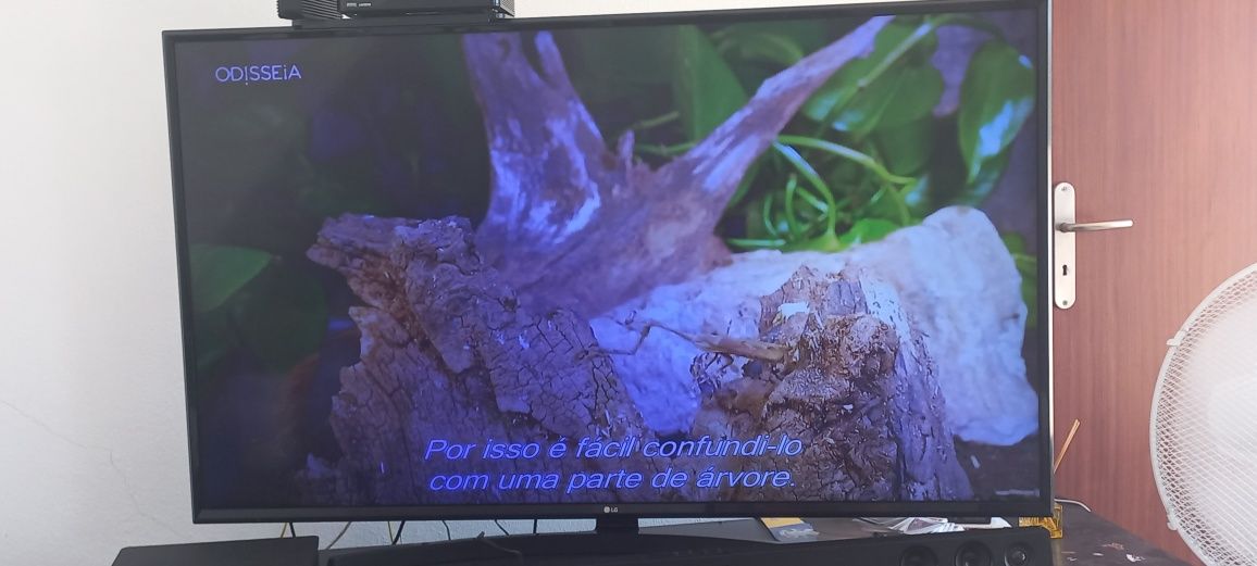 Tv lg 55"ultra HD 4k VAI COM coluna c/ sub