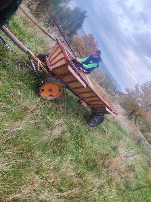Wóz konny sprzedam