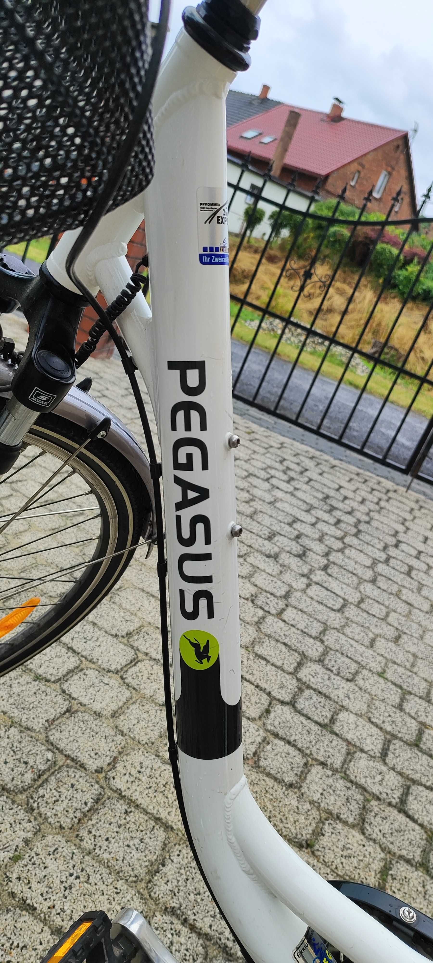Rowery Pegasus damski i męski
