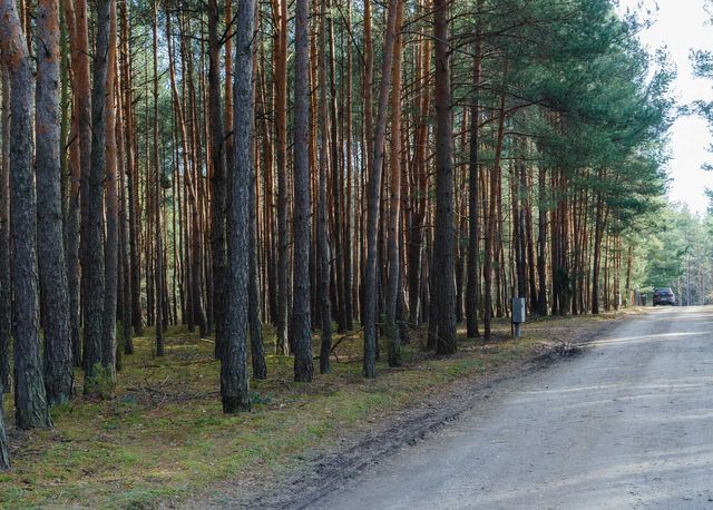 Działka budowlana w Inowłodzu, w lesie, 1000 lub 4000 mkw