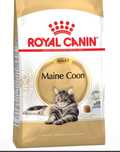 10kg Royal Canin Maine Coon sucha karma dla kota 
Wszystkie karmy świe