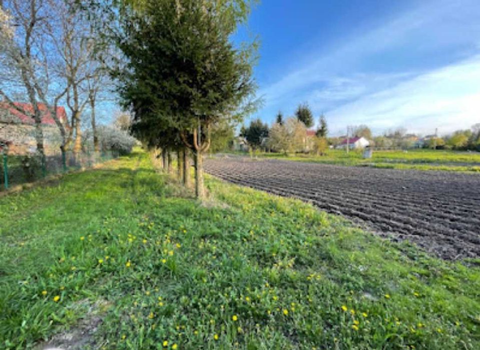 Działka w Niechobrzu