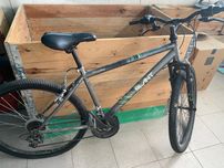Bicicleta adulto