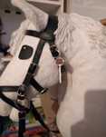 Charms dla hobby horse