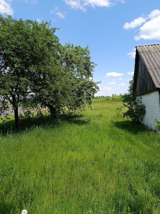 Будинок в селі Стримигород