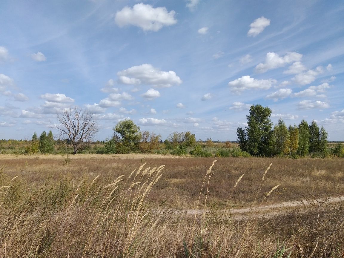 Участок Вышгородский р-н