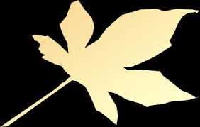 Житловий вагончік на долкій термін