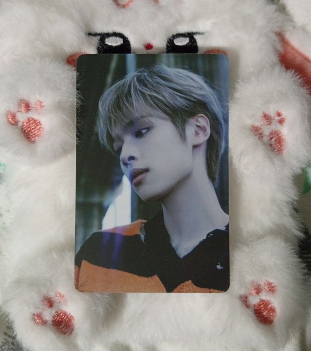 Xdinary Heroes Gaon photocard Live and Fall