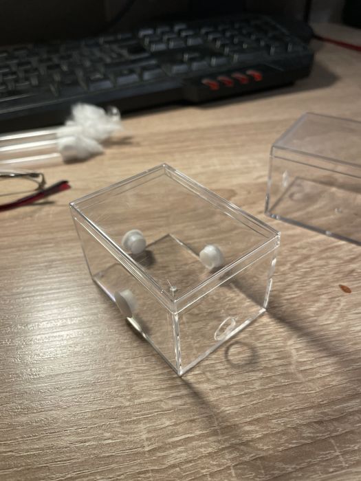 Mini arena dla mrówek