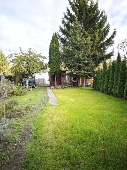 Działka ROD - Droga dębińska (Wilda) 196 m2