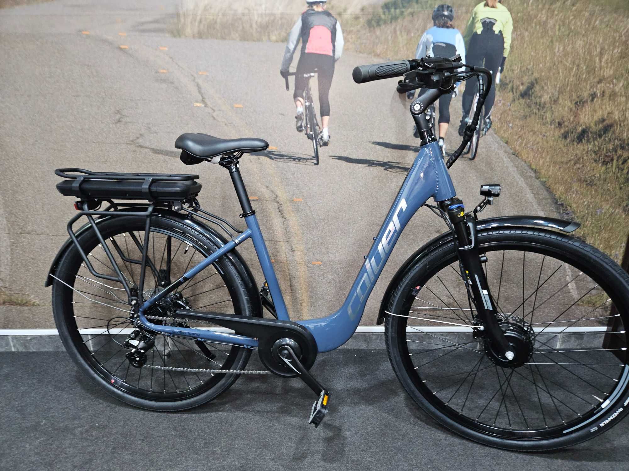 Coluer GreenLand Electrica 28" Travão Hidráulico Cinza T-M