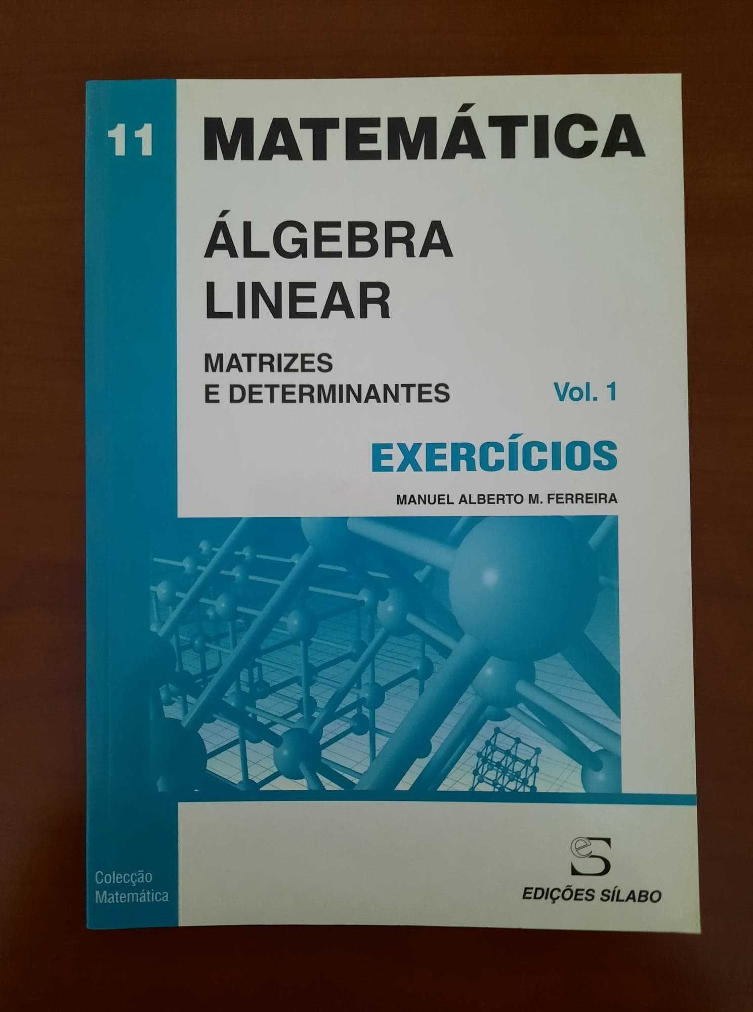 Álgebra Linear | 11 e 12 | Matrizes e determinantes, Espaços Vetoriais