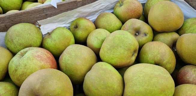 Skrzynka jabłek szara reneta 20kg przetwory ciasta drobne