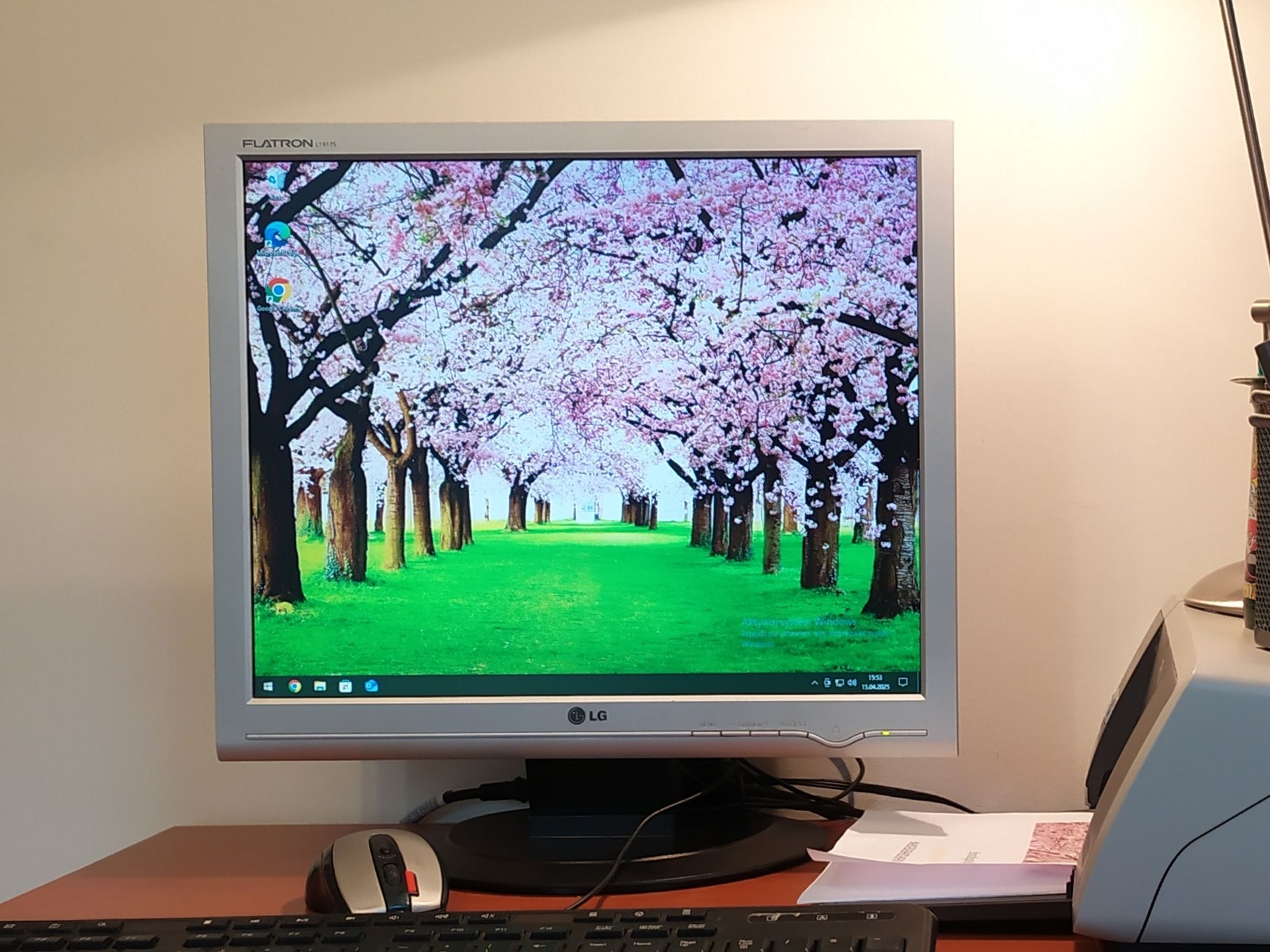 Monitor LG Flatron L1917S-SN